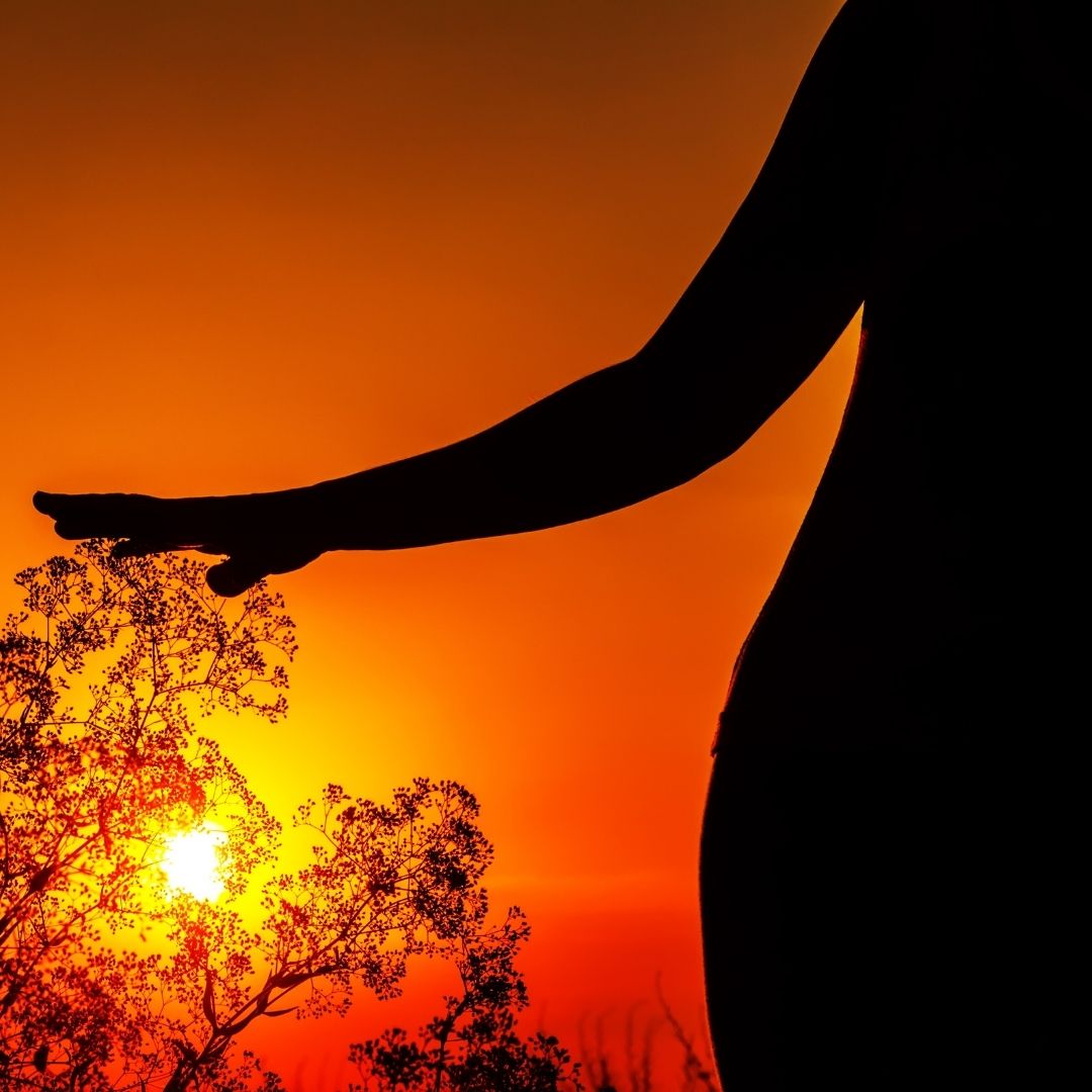Foto da silhueta de um corpo feminino com as mãos na copa de uma árvore. Ao fundo, o pôr-do-sol.